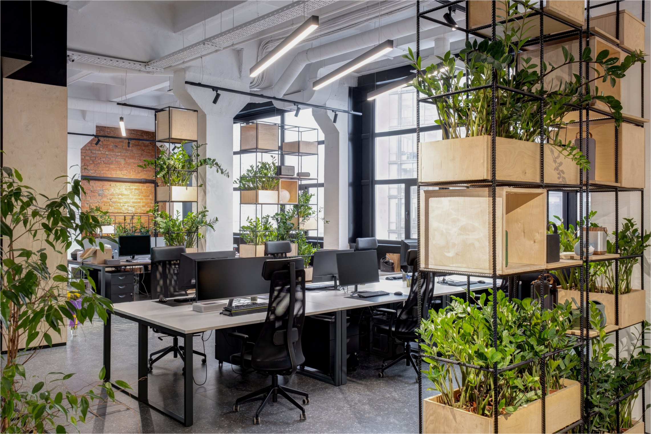 Corporativo